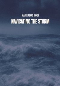 bokomslag Navigating the storm
