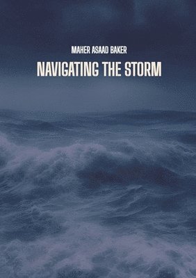 Navigating the storm 1