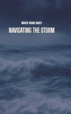 Navigating the storm 1