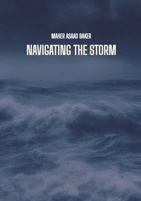 bokomslag Navigating the storm