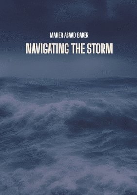 Navigating the storm 1