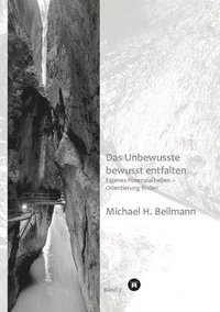 bokomslag Das Unbewusste bewusst entfalten: Eigenes Potenzial heben - Orientierung finden (Bd. 2)