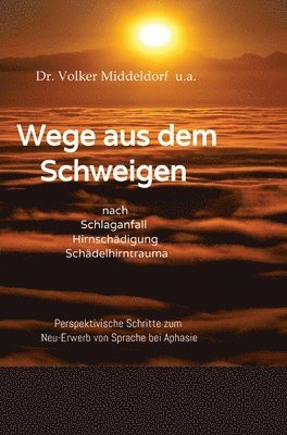 bokomslag Wege aus dem Schweigen - nach Schlaganfall, Hirnschädigung, Schädelhirntrauma: Perspektivische Überlegungen zum Neu-Erwerb von Sprache bei Aphasie