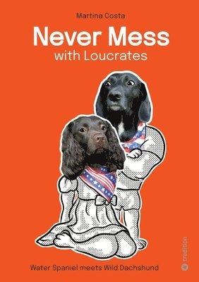 Never Mess with Loucrates: Waterspaniel meets Wild Dachshund 1