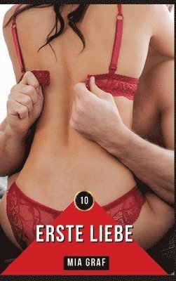 bokomslag Erste Liebe: Erotische Geschichten mit explizitem Sex für Erwachsene