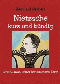 bokomslag Nietzsche: kurz und bündig