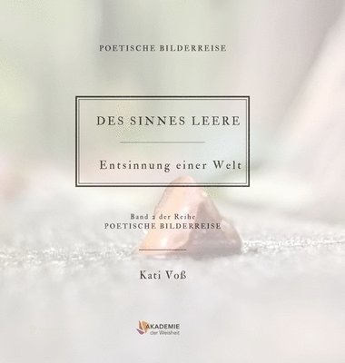 bokomslag Des Sinnes Leere: Entsinnung einer Welt