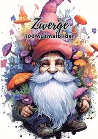 bokomslag Zwerge - 100 Ausmalbilder