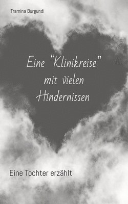 bokomslag Eine "Klinikreise" mit vielen Hindernissen: Eine Tochter erzählt.