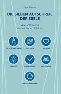 bokomslag Die sieben Aufschreie der Seele: Wie sollten wir dieses Leben leben?