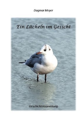 bokomslag Ein Lächeln im Gesicht