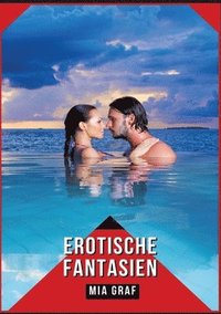 bokomslag Erotische Fantasien: Verbotene Erotikgeschichten mit explizitem Sex für Erwachsene