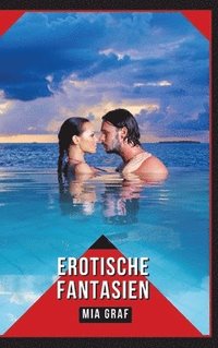 bokomslag Erotische Fantasien: Verbotene Erotikgeschichten mit explizitem Sex für Erwachsene