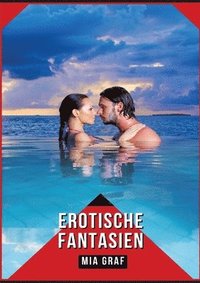 bokomslag Erotische Fantasien: Verbotene Erotikgeschichten mit explizitem Sex für Erwachsene