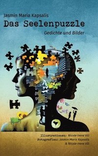 bokomslag Das Seelenpuzzle