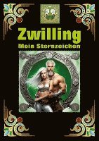 bokomslag Zwilling, mein Sternzeichen