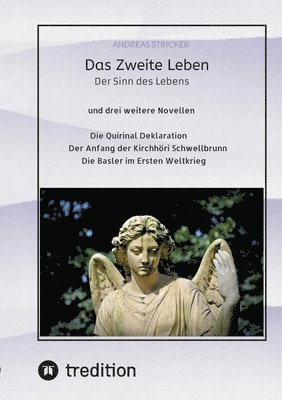 bokomslag Das Zweite Leben: Der Sinn des Lebens