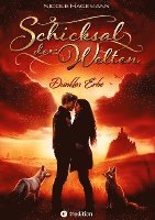 bokomslag Schicksal der Welten