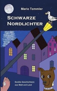 bokomslag Schwarze Nordlichter