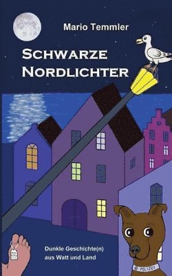 bokomslag Schwarze Nordlichter
