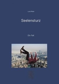 bokomslag Seelensturz