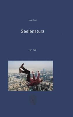 bokomslag Seelensturz: Ein Fall