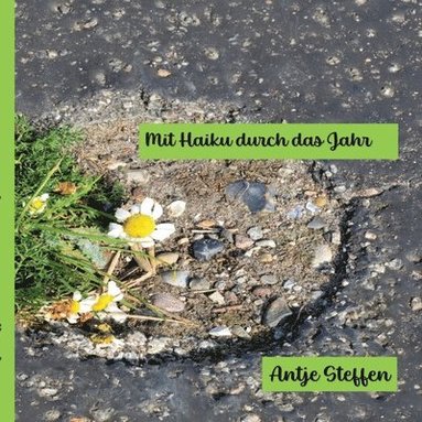 bokomslag Mit Haiku durch das Jahr