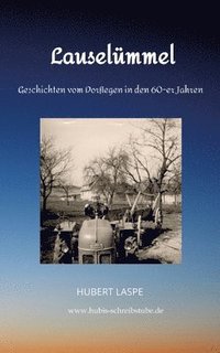 bokomslag Lauselümmel: Geschichten vom Dorfleben in den 60-er Jahren