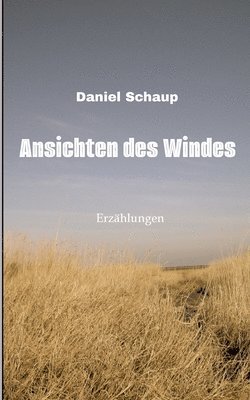 bokomslag Ansichten des Windes