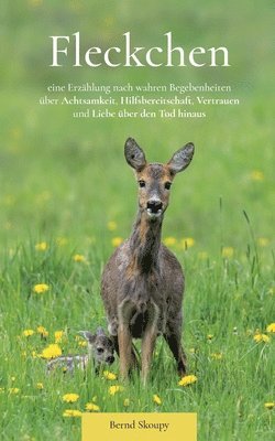 bokomslag Fleckchen: eine Erzählung nach wahren Begebenheiten über Achtsamkeit, Hilfsbereitschaft, Vertrauen und Liebe über den Tod hinaus