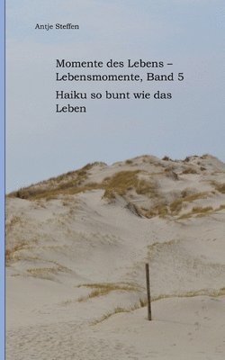 bokomslag Momente des Lebens - Lebensmomente Band 5: Haiku so bunt wie das Leben