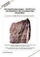 bokomslag Die Hopi-Prophezeiungen - 10.000 Jahre alte Botschaften der amerikanischen Ureinwohner