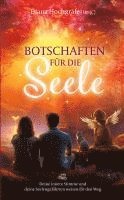 bokomslag Botschaften für die Seele - Seelenbotschaften und Seelengeschichten, die dich inspirieren, dein Herz zu öffnen, deiner Intuition zu vertrauen und deinen Seelenplan zu leben