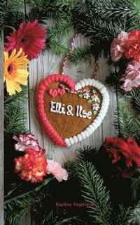 bokomslag Elli und Ilse