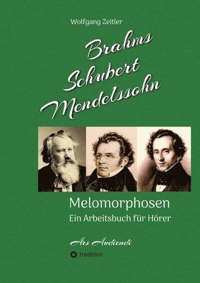 Brahms, Schubert, Mendelssohn: Melomorphosen - Früchte der Musikmeditation, sichtbar gemachte Informationsmatrix ausgewählter Musikstücke, Gestaltwerk