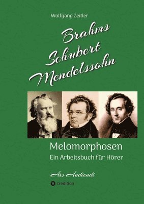 Brahms, Schubert, Mendelssohn: Melomorphosen - Früchte der Musikmeditation, sichtbar gemachte Informationsmatrix ausgewählter Musikstücke, Gestaltwer 1