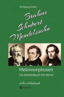 bokomslag Brahms, Schubert, Mendelssohn: Melomorphosen - Früchte der Musikmeditation, sichtbar gemachte Informationsmatrix ausgewählter Musikstücke, Gestaltwer