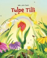 Tulpe Tilli 1