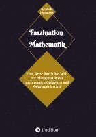 bokomslag Faszination Mathematik
