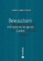 bokomslag Bewusstsein: und seine verborgenen Quellen