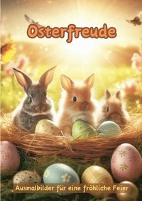 bokomslag Osterfreude: Ausmalbilder für eine fröhliche Feier