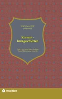 bokomslag Kurzum - Kurzgeschichten: Vierter Teil: Mein Sofa, die Erde