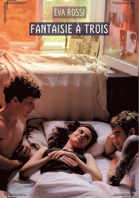 bokomslag Fantaisie à Trois: Histoires Érotiques Tabou pour Adultes