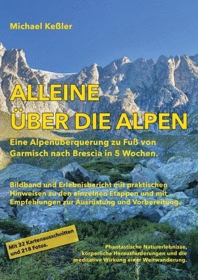 bokomslag Alleine über die Alpen: Eine Alpenüberquerung zu Fuß. Von Garmisch nach Brescia in 5 Wochen.