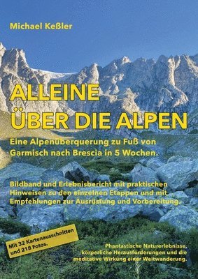 Alleine über die Alpen: Eine Alpenüberquerung zu Fuß. Von Garmisch nach Brescia in 5 Wochen. 1