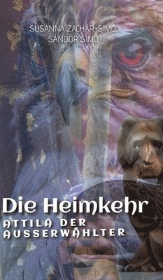 bokomslag Die Heimkehr