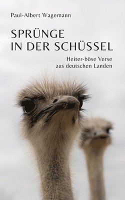 bokomslag Sprünge in der Schüssel - 148 zeitgeistkritische Gedichte im Stil von Limericks: Heiter-böse Verse aus deutschen Landen - für Liebhaber von Nonsens, S