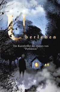 bokomslag Überleben: Ein Kurzthriller des Autors von "Perfektion"