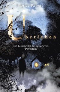 bokomslag Überleben: Ein Kurzthriller des Autors von 'Perfektion'