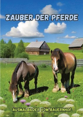 bokomslag Zauber der Pferde: Ausmalbilder vom Bauernhof